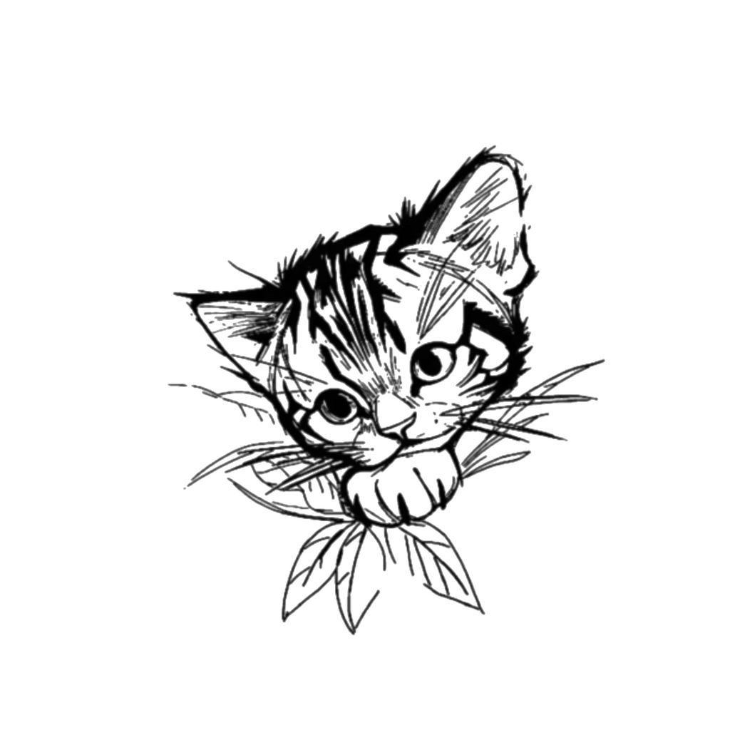 Sketchy Meow